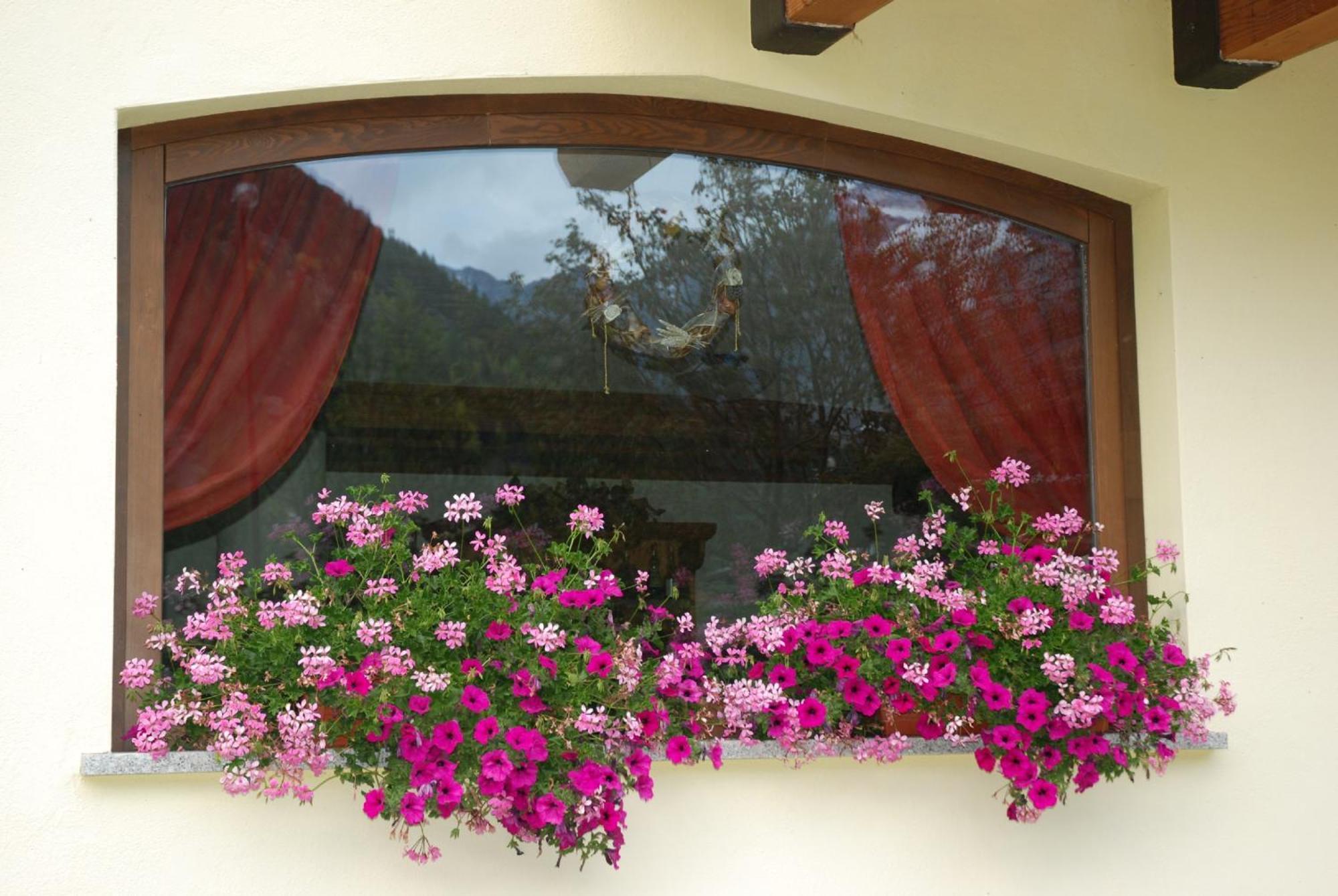 Residence Les Nigritelles Cogne Exterior foto